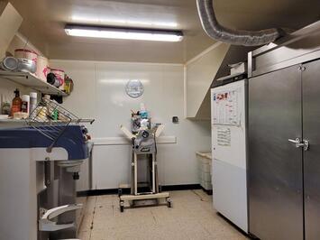 Vente - Pâtisserie - Chocolaterie Chocolatier - Tarn (81)-photo-3