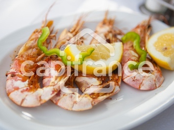 Vente - Restaurant - Nancy (54000)