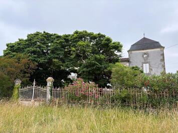 Vente de murs de boutique - Gironde (33)-photo-2