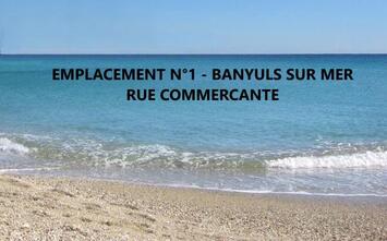 Location Local Commercial - Pyrénées-Orientales (66)-photo-1