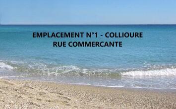 Location Local Commercial - Pyrénées-Orientales (66)-photo-1