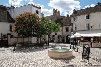 Vente - Restaurant - Côte-d'Or (21)-photo-2