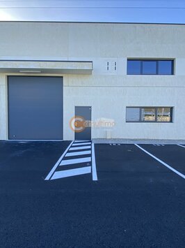 Vente Entrepôt / Local d'activités - Mios (33380)-photo-4