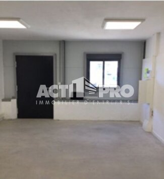 Location Entrepôt / Local d'activités - Perpignan (66000)-photo-4