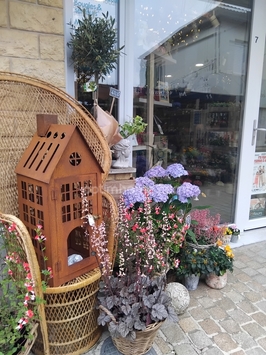 Vente - Décoration - Fleuriste - Ouistreham (14150)-photo-3
