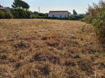 Vente Terrain ZI / ZA - Pietroso (20242)-photo-2