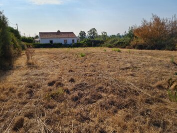 Vente Terrain ZI / ZA - Pietroso (20242)-photo-4
