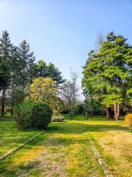 Vente Terrain ZI / ZA - Le Mans (72000)-photo-2
