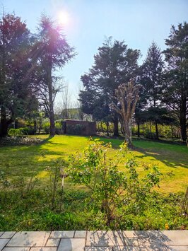 Vente Terrain ZI / ZA - Le Mans (72000)-photo-3