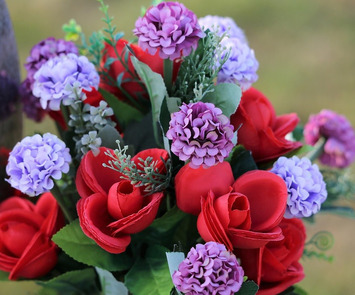 Vente - Fleuriste - Biguglia (20620)-photo-2