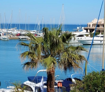 Vente - Restaurant - Cogolin (83310)