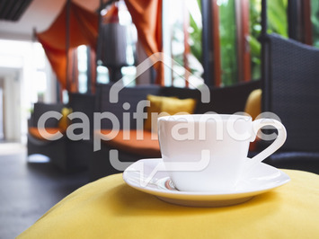Vente - Hôtel - Haute-Corse (2B)-photo-4