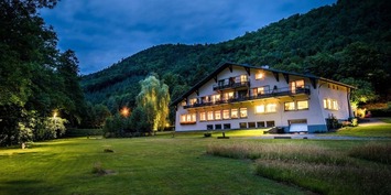 Vente - Hôtel - Restaurant - Obernai (67210)