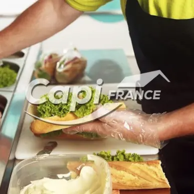 Vente - Restaurant - Aix-les-Bains (73100)-photo-2