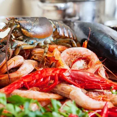 Vente - Poissonnerie - Rhône (69)-photo-2