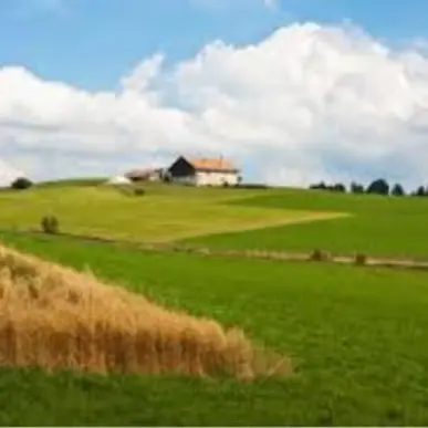 Location Local Commercial - Haut-Rhin (68)-photo-2