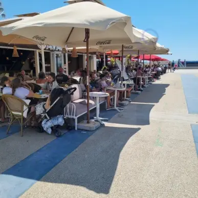 Vente - Brasserie - Licence IV - Hérault (34)-photo-4