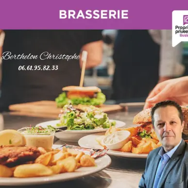 Vente - Bar - Brasserie - Yonne (89)-photo-4
