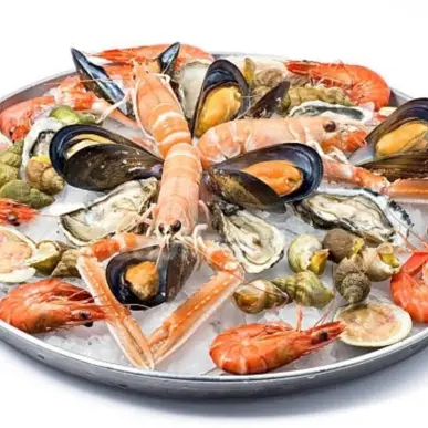 Vente - Poissonnerie - Royan (17200)-photo-2