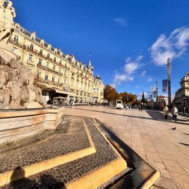 Location Local Commercial - Montpellier (34000)-photo-6