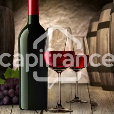 Vente - Restaurant - Lille (59000)-photo-12