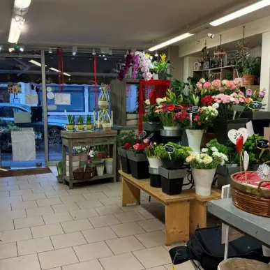 Vente - Fleuriste - Rouen (76100)-photo-5