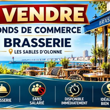 Vente - Pressing - Les Sables-d'Olonne (85100)-photo-1