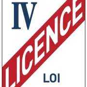 Vente - Bar - Licence IV - Toulouse (31500)