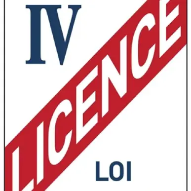 Vente - Bar - Licence IV - Toulouse (31500)-photo-1