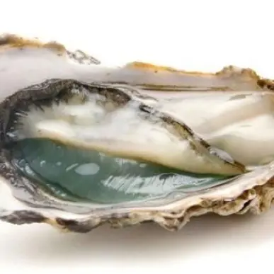 Vente - Poissonnerie - Bouches-du-Rhône (13)-photo-2