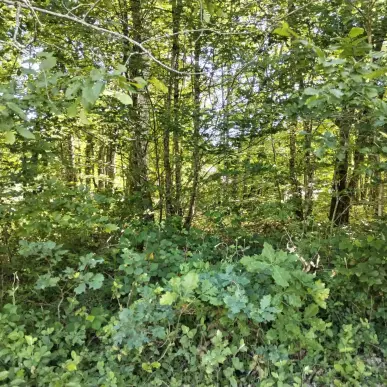 Vente Terrain ZI / ZA - Bazoches-sur-le-Betz (45210)-photo-3
