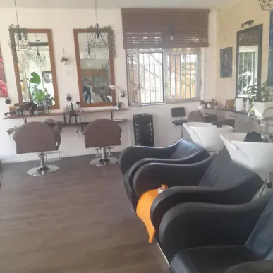 Vente -  - Illkirch-Graffenstaden (67400)-photo-2
