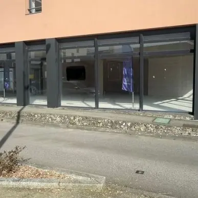Vente Entrepôt / Local d'activités - Hémonstoir (22600)-photo-5