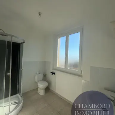 Location Entrepôt / Local d'activités - Blois (41000)-photo-7
