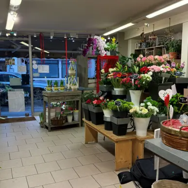 Vente - Fleuriste - Rouen (76100)-photo-1