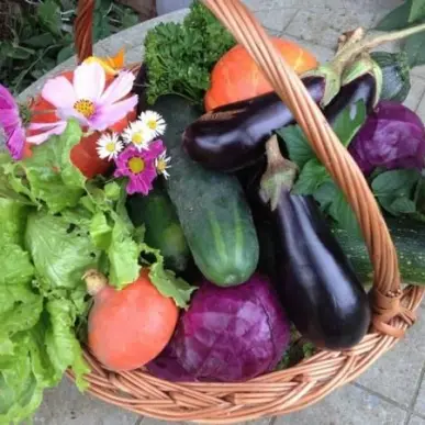 Vente - Bio - Fruits et légumes - Alpes-Maritimes (06)-photo-7