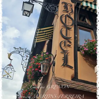 Vente - Hôtel - Restaurant - Loiret (45)-photo-1