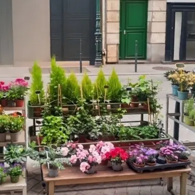Vente - Fleuriste - Colombes (92700)-photo-4