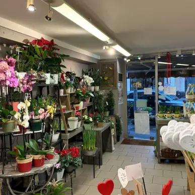 Vente - Fleuriste - Rouen (76100)-photo-6