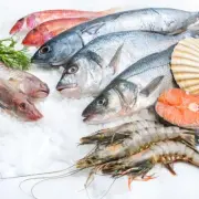 Vente - Restaurant - Cave à vins - Poissonnerie - Bouches-du-Rhône (13)