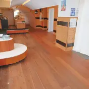 Location Local Commercial - Bussang (88540)
