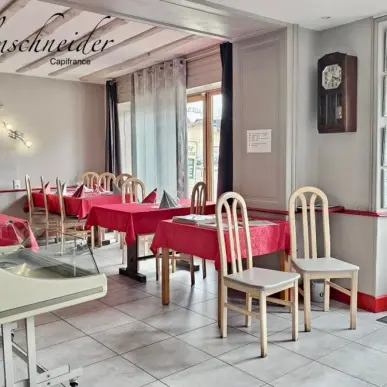 Vente - Bar - Restaurant - Tabac - Auberge - FDJ - Chanaz (73310)-photo-10