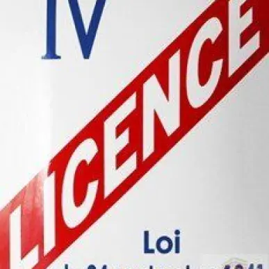Vente - Restaurant - Café - Licence IV - Vannes (56000)-photo-2