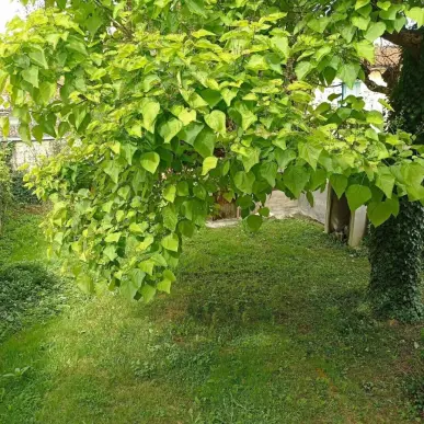Vente de murs de boutique - Bergerac (24100)-photo-7