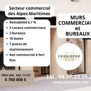 Vente de murs de boutique - Nice (06000)