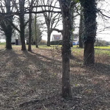 Vente Terrain ZI / ZA - Chaumont-sur-Loire (41150)-photo-6