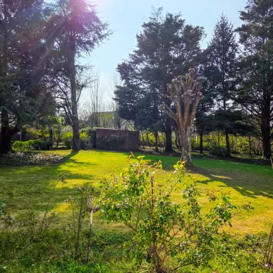 Vente Terrain ZI / ZA - Le Mans (72000)-photo-3