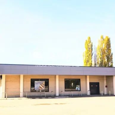 Location Local Commercial - Aouze (88170)-photo-9