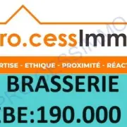 Vente - Brasserie - Restaurant - Restaurant rapide - Gard (30)