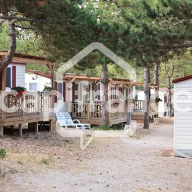 Vente - Camping - Badefols-d'Ans (24390)-photo-8